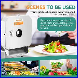 Commercial Vegetable Dicer Electric Fruit Dicing Machine Heavy Duty Stainless St